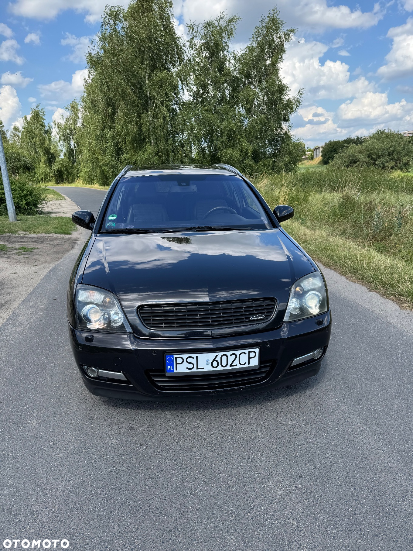 Opel Signum 1.9 CDTI Sport - 2