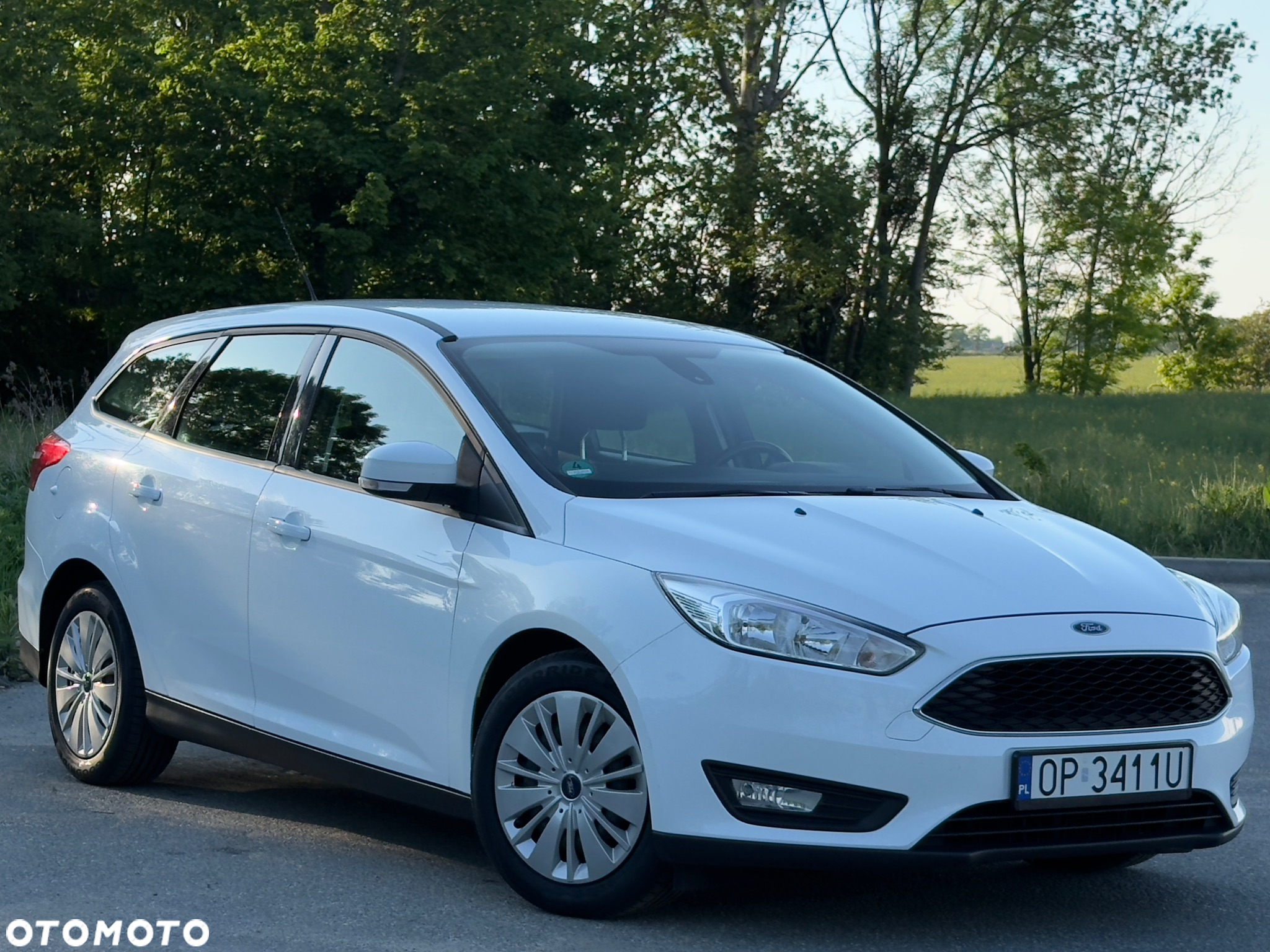 Ford Focus - 35