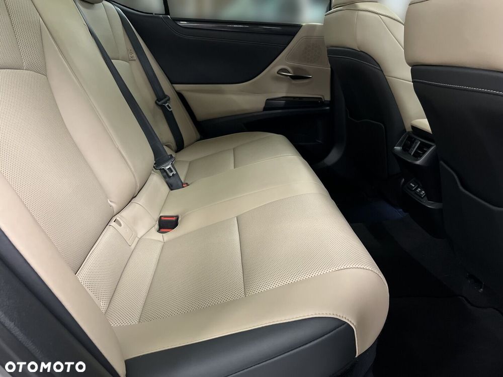 Lexus ES 300h Business Edition - 14