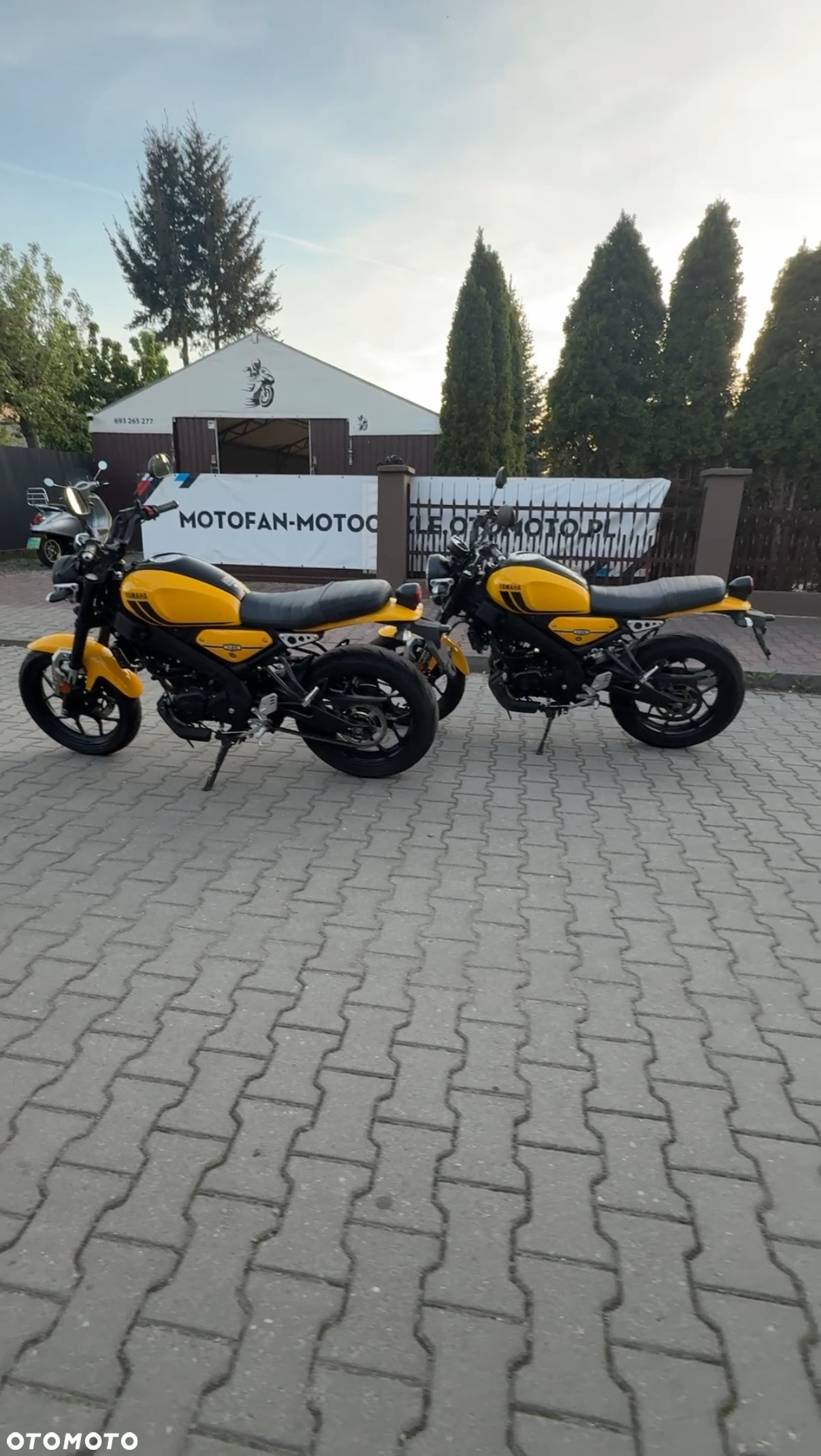 Yamaha XSR - 31