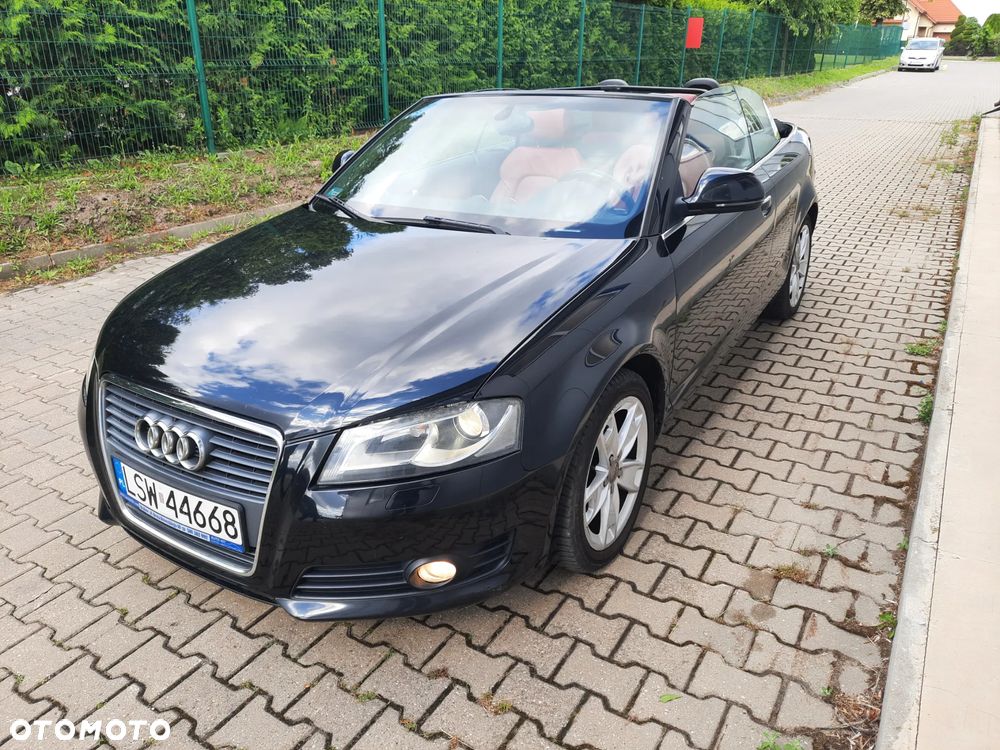 Audi A3 Cabrio 1.6 TDI DPF Ambition - 1