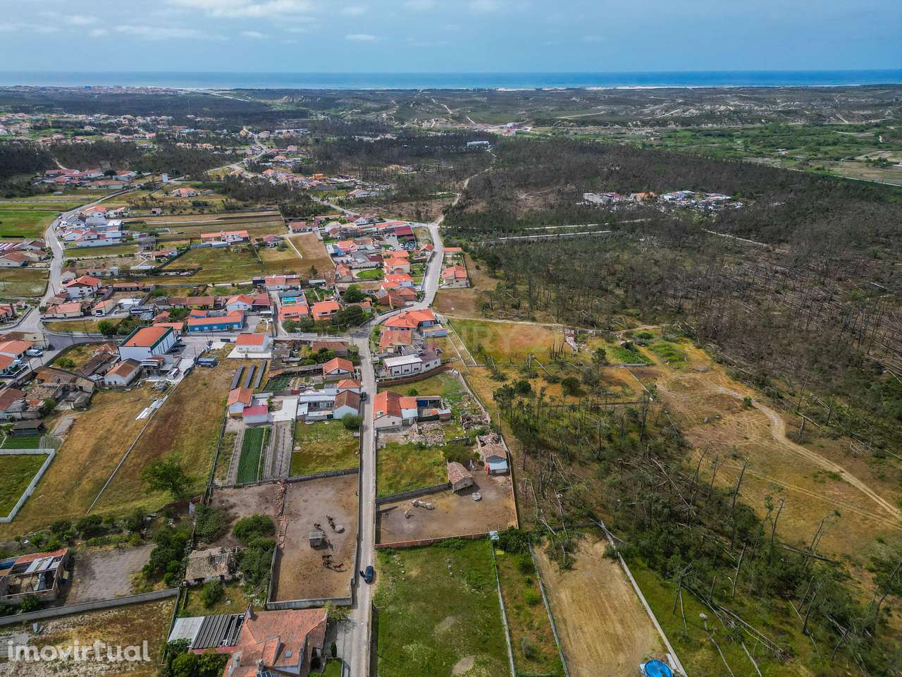 Moradia Rústica para reabilitar em Vieira de Leiria, com terreno, a ce - Grande imagem: 5/13