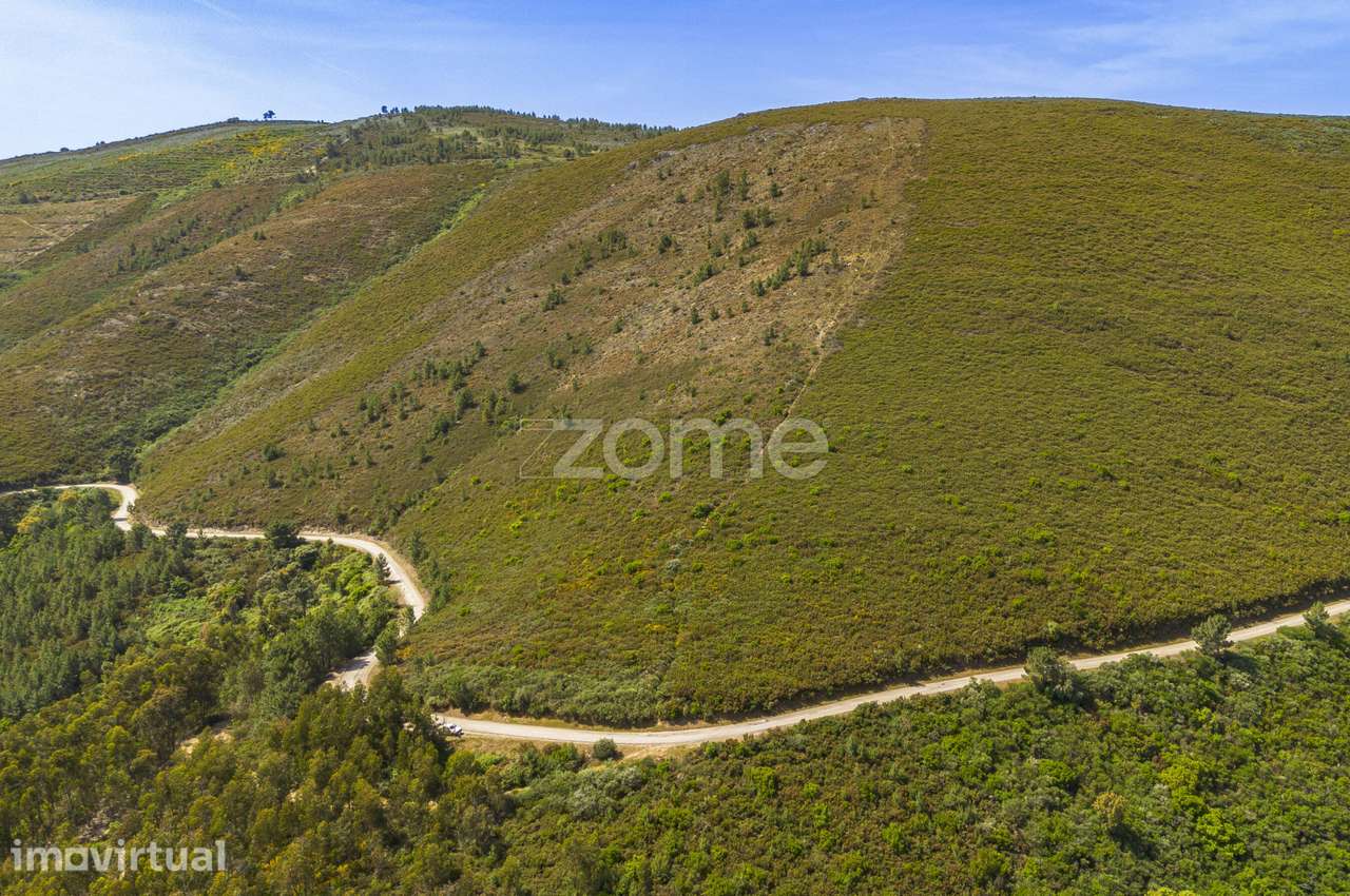 Quinta das Beatas, Gouvães do Douro - Grande imagem: 5/20