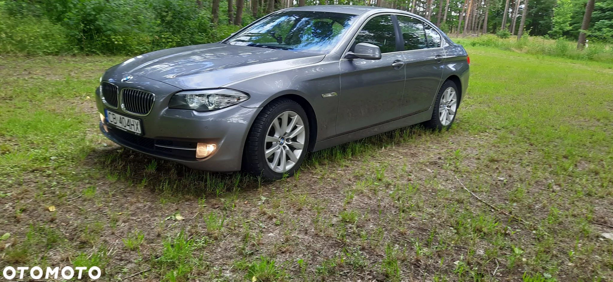 BMW Seria 5 520d - 1