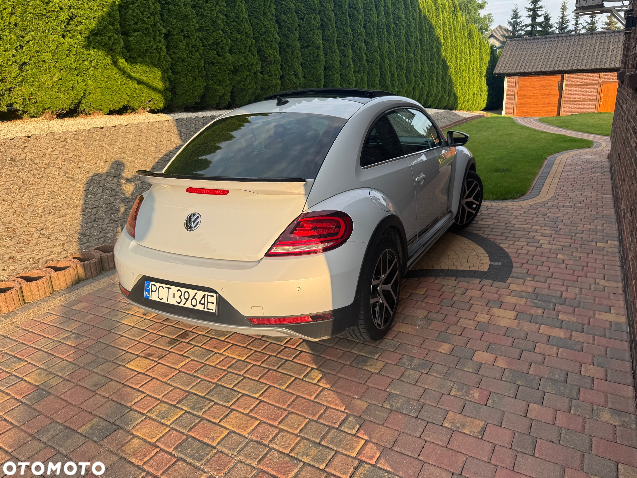 Volkswagen Beetle The 2.0 TDI DPF Blue Motion Technologie Dune - 9