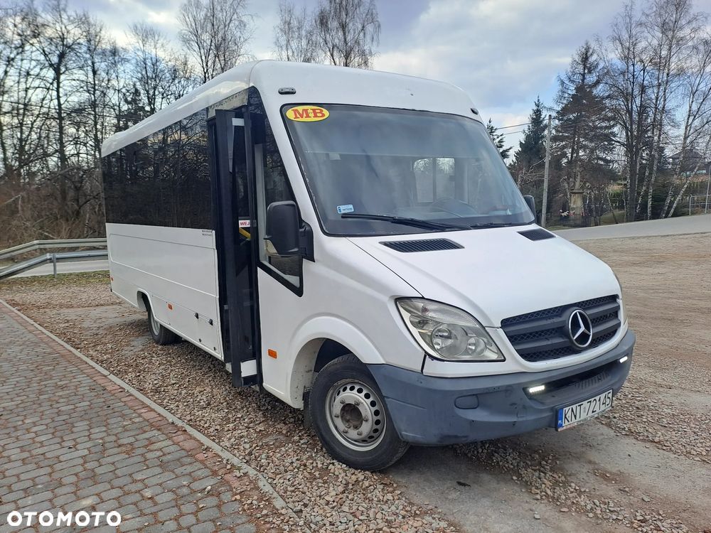 Mercedes-Benz SPRINTER 513 CDI - 1