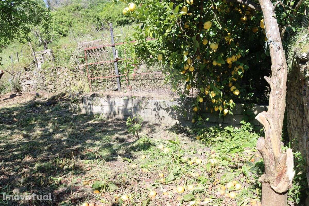 Moradia T0 para venda - Grande imagem: 5/13