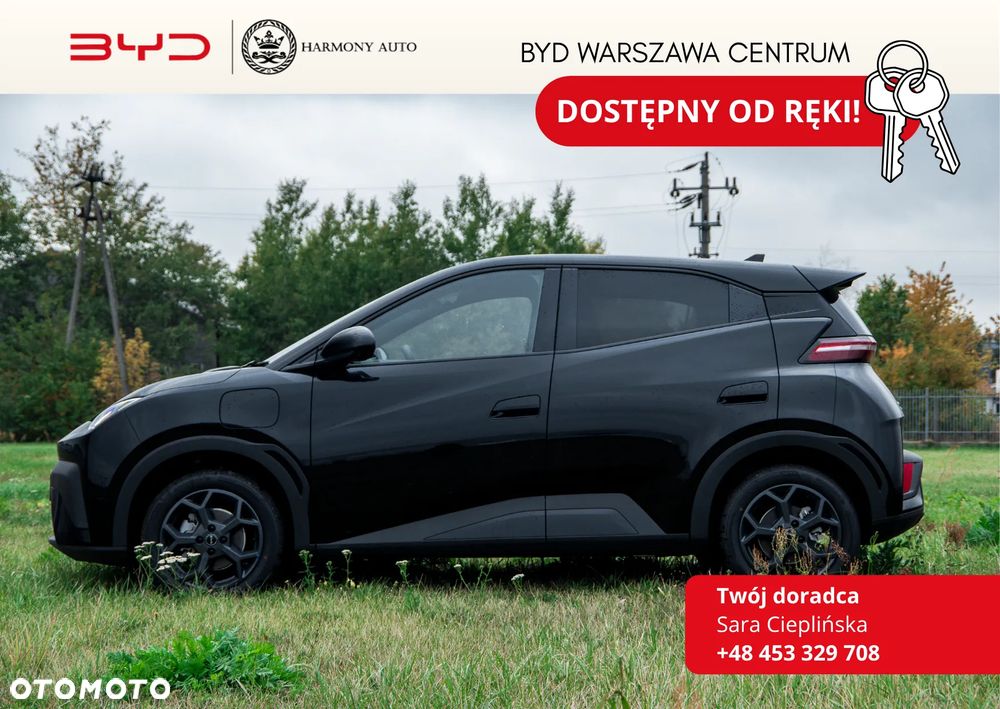 BYD Dolphin Surf - 1