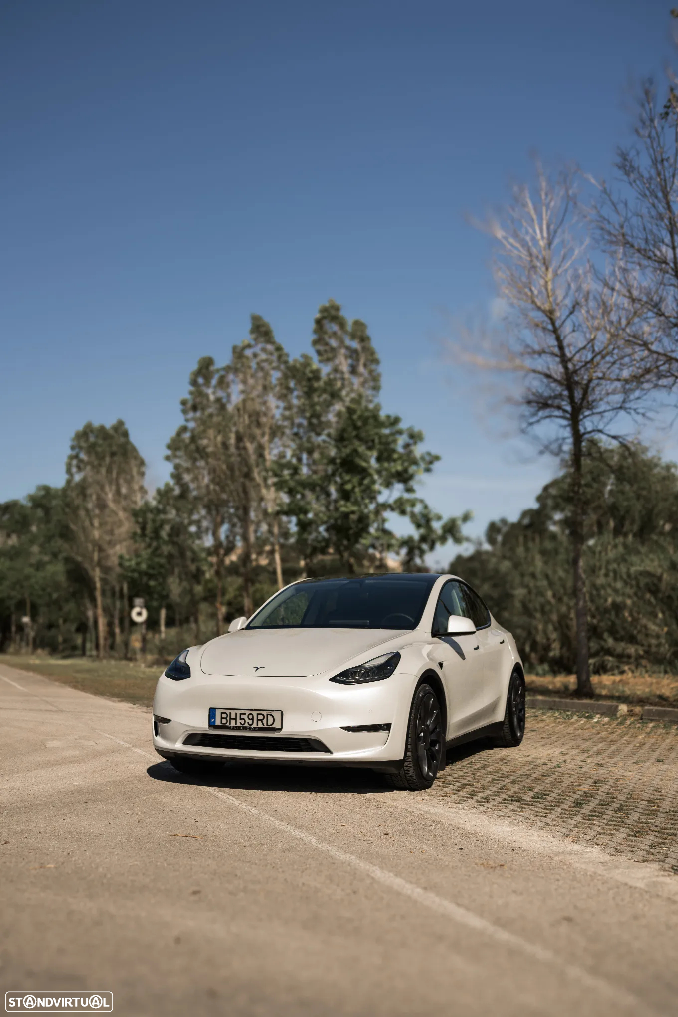 Tesla Model Y Performance Dual Motor AWD - 13