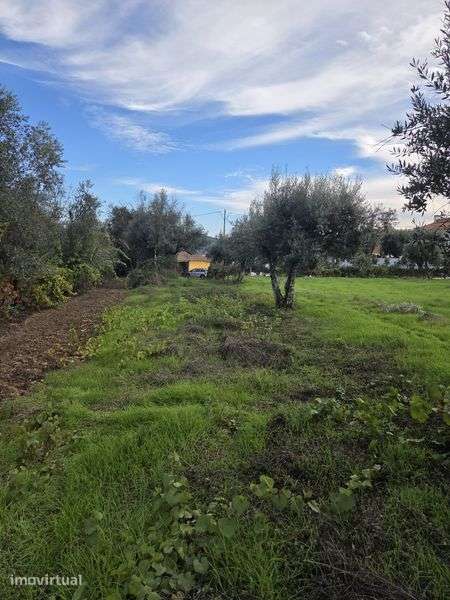 Vendo terreno urbanizavel - 1000m2 - Oliveira, Pindo - Grande imagem: 5/6