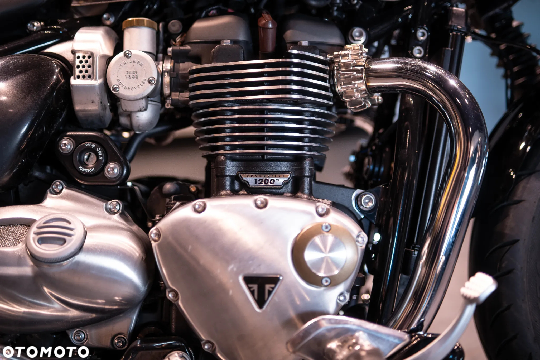 Triumph Speedmaster - 20