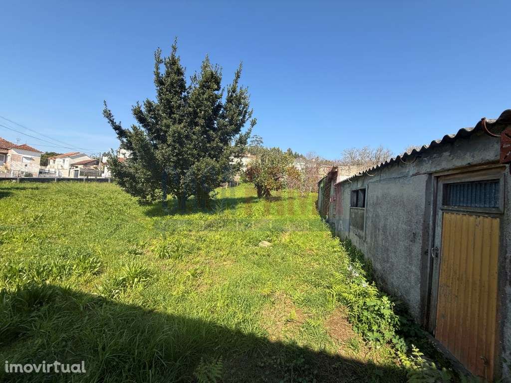 Terreno Beiriz - 41m de Frente - Ideal para Moradias - Grande imagem: 2/25