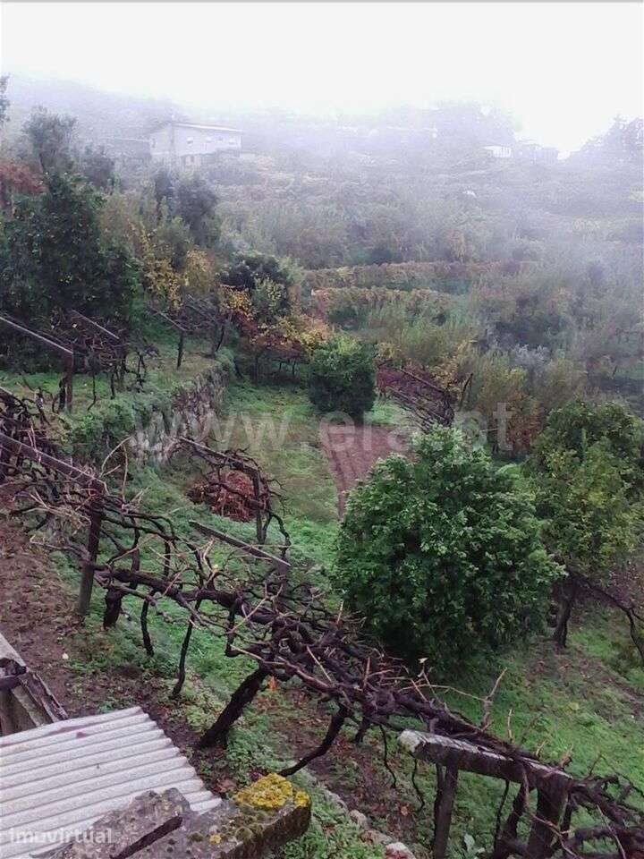 Lote / Baião, Baião (Santa Leocádia) e Mesquinhata - Grande imagem: 4/6