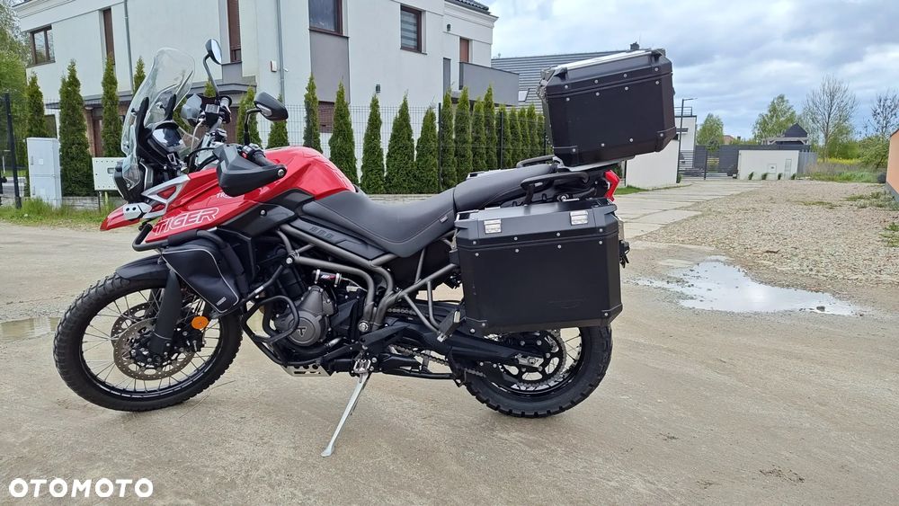 Triumph Tiger - 1