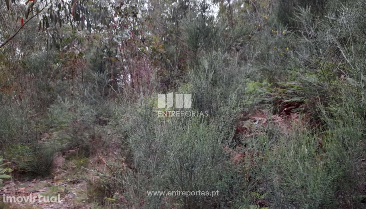 Venda Terreno, Vila Cova, Penafiel - Grande imagem: 4/10