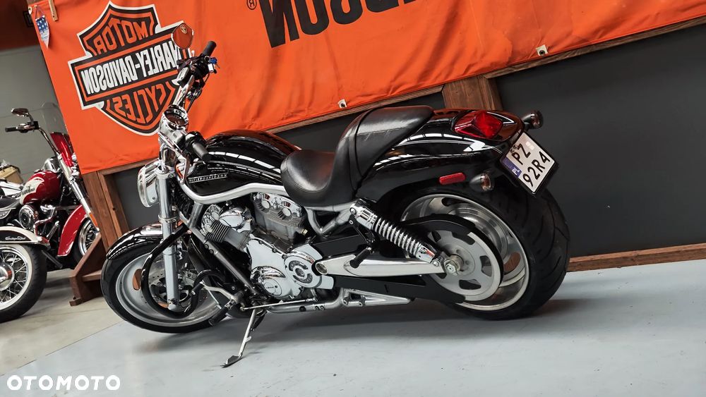 Harley-Davidson Softail V-Rod - 4