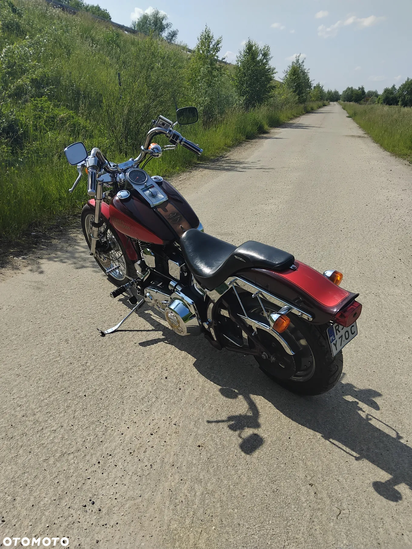 Harley-Davidson Softail - 5