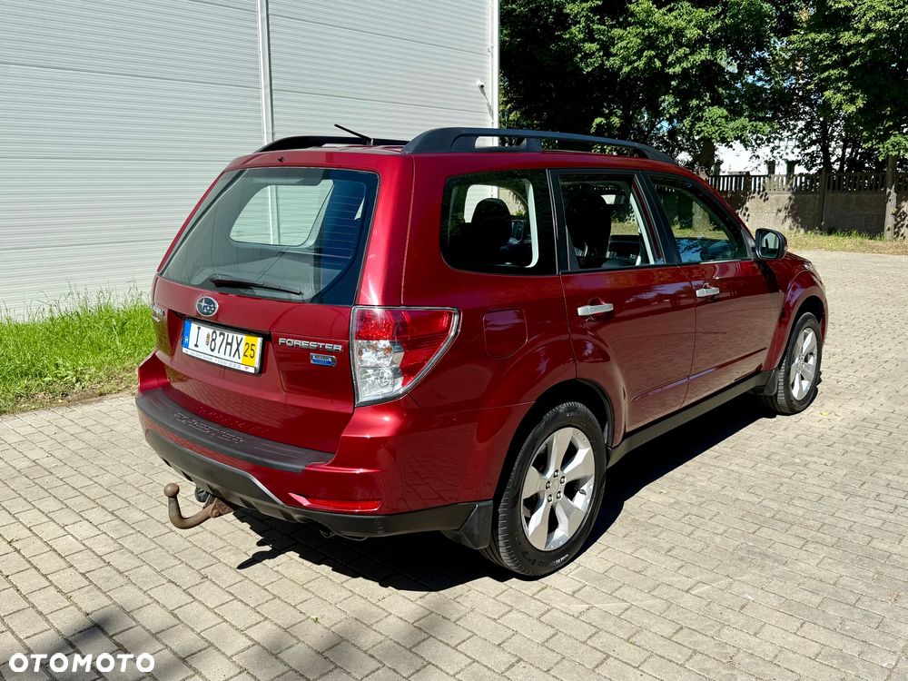 Subaru Forester - 4