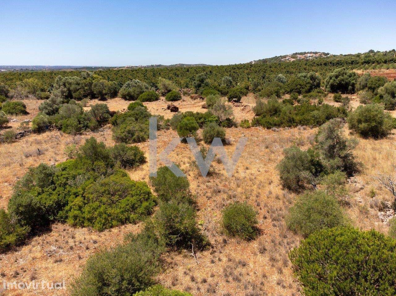 Terreno Rústico - S. Bartolomeu de Messines - Grande imagem: 2/17