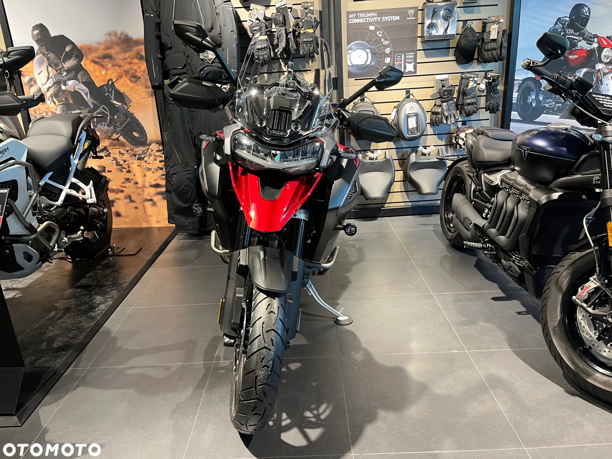 Triumph Tiger - 2