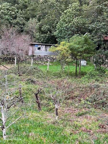 Terreno Rústico Seixal Chão da Ribeira - Grande imagem: 4/7