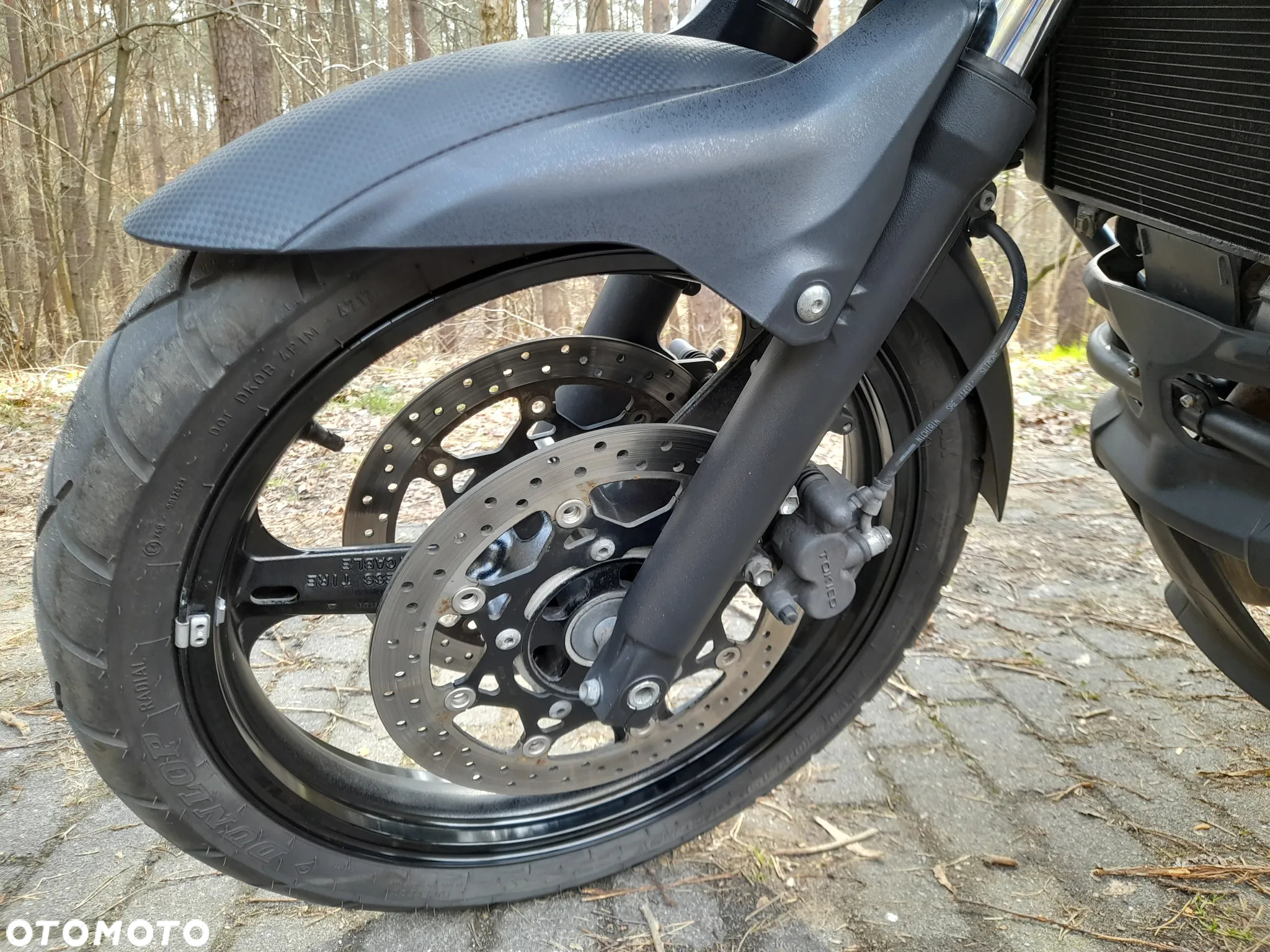 Suzuki DL - 9