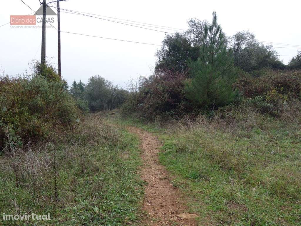 Lote de Terreno - Santa Clara (Coimbra) Portugal - Grande imagem: 3/7