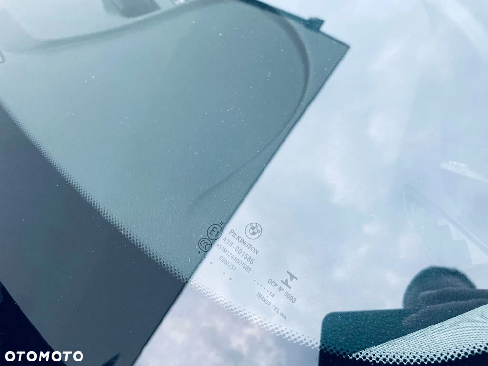 BMW Seria 3 318d Blue Performance Luxury Line - 22