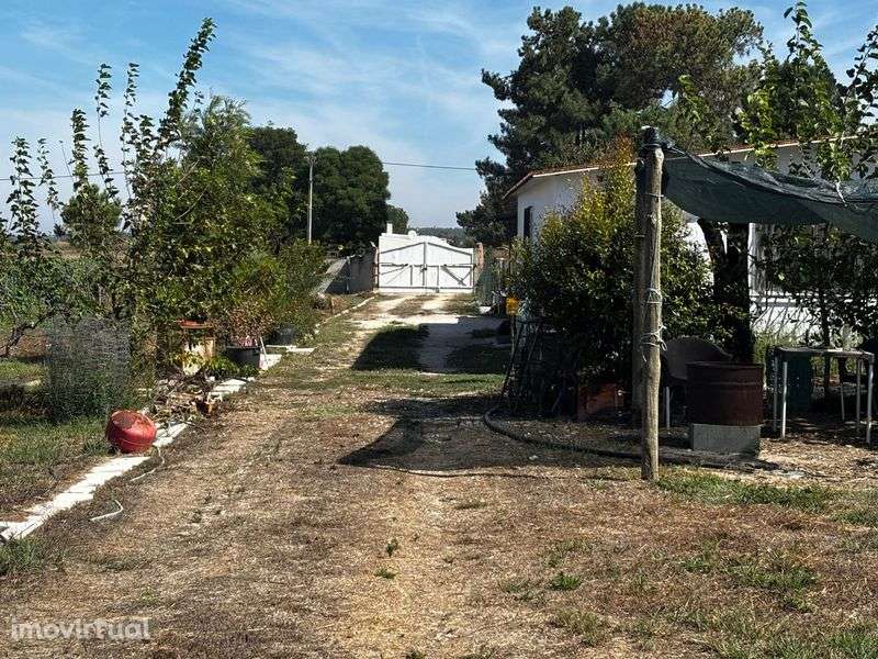 Terreno com 2 casas habitadas - Grande imagem: 3/10