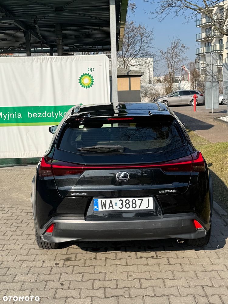 Lexus UX 250h Business Edition - 6
