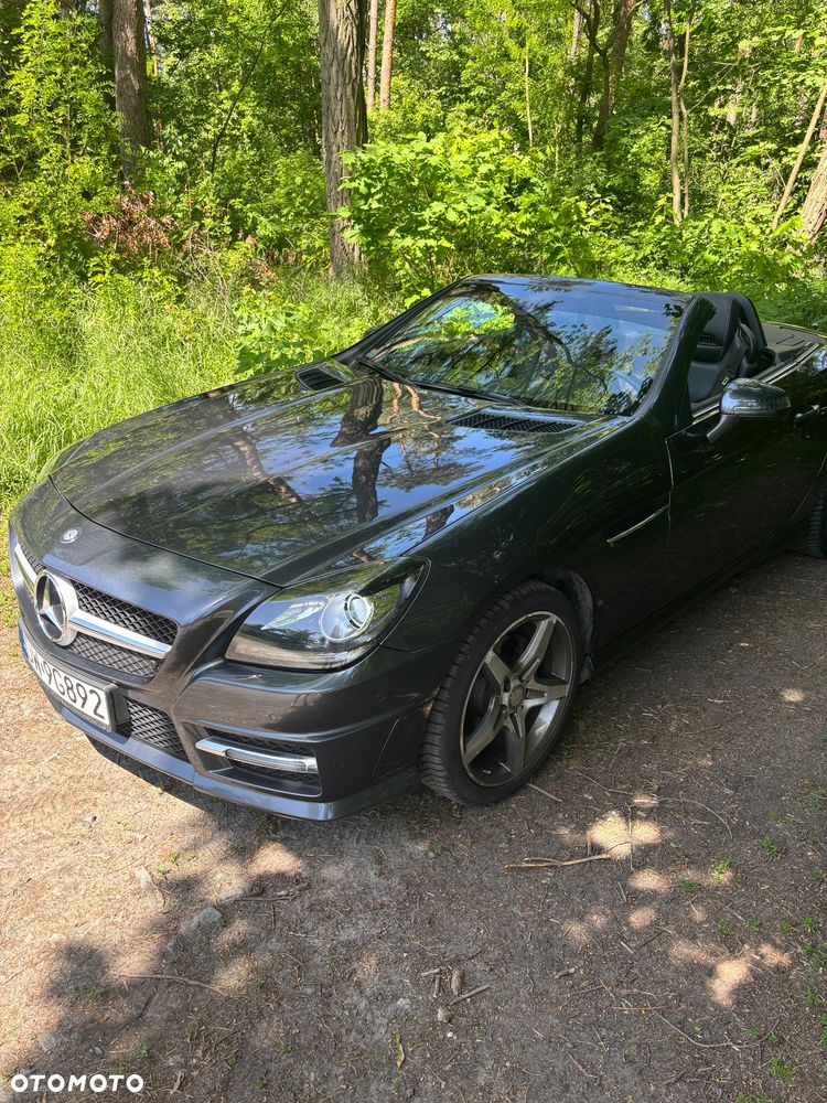 of the car