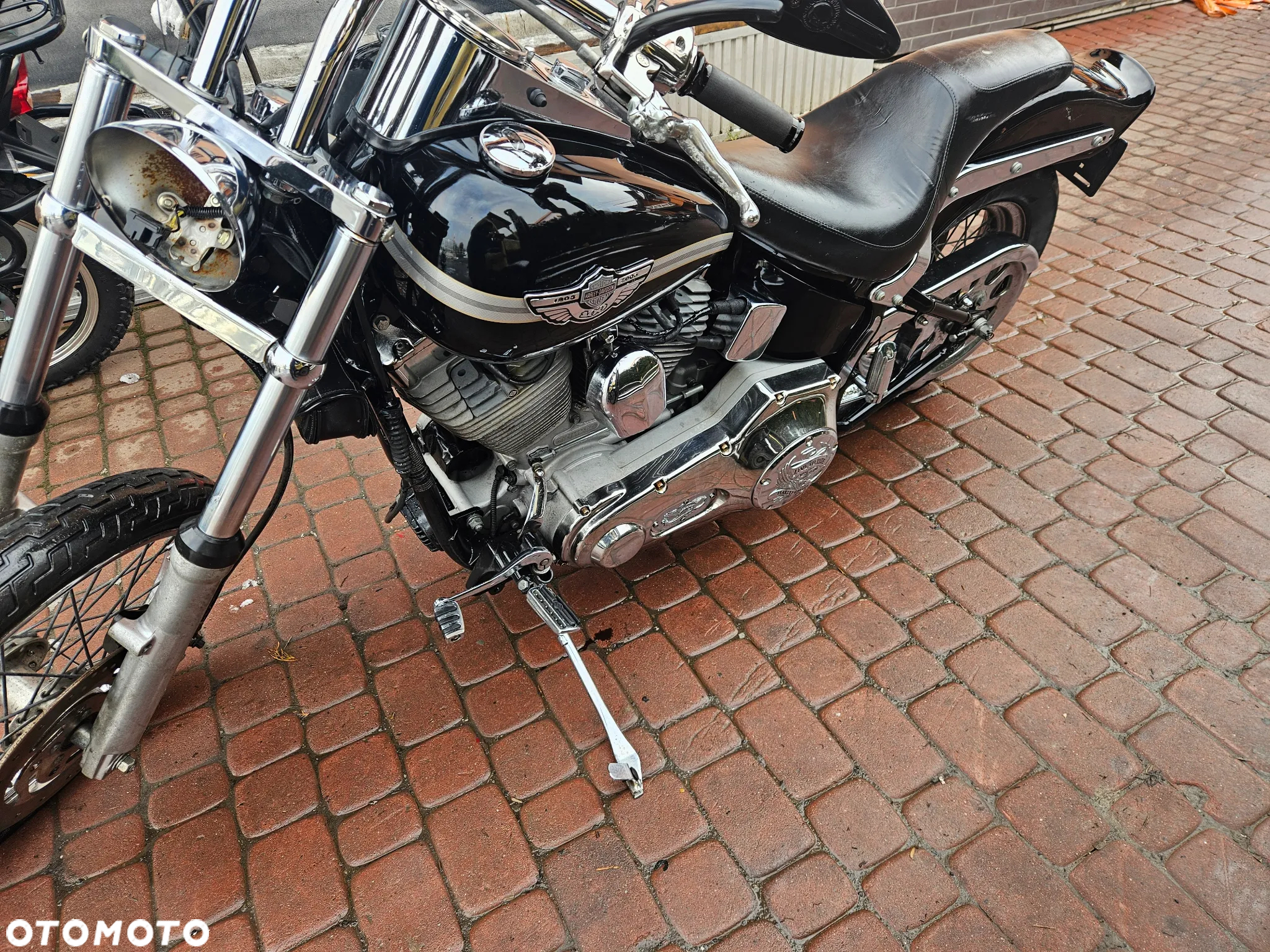 Harley-Davidson Softail Standard - 2