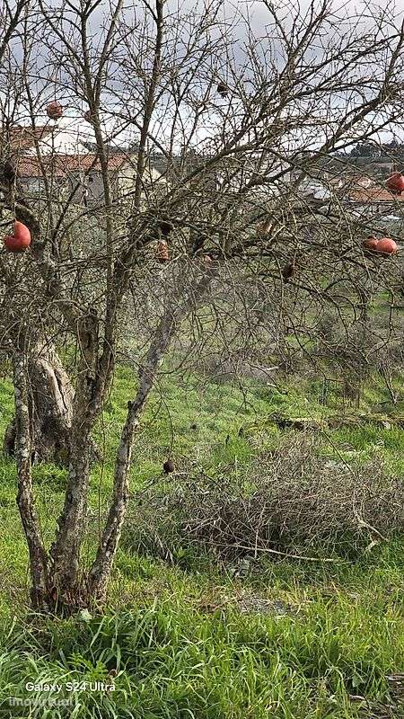 Terreno  para venda - Grande imagem: 3/11