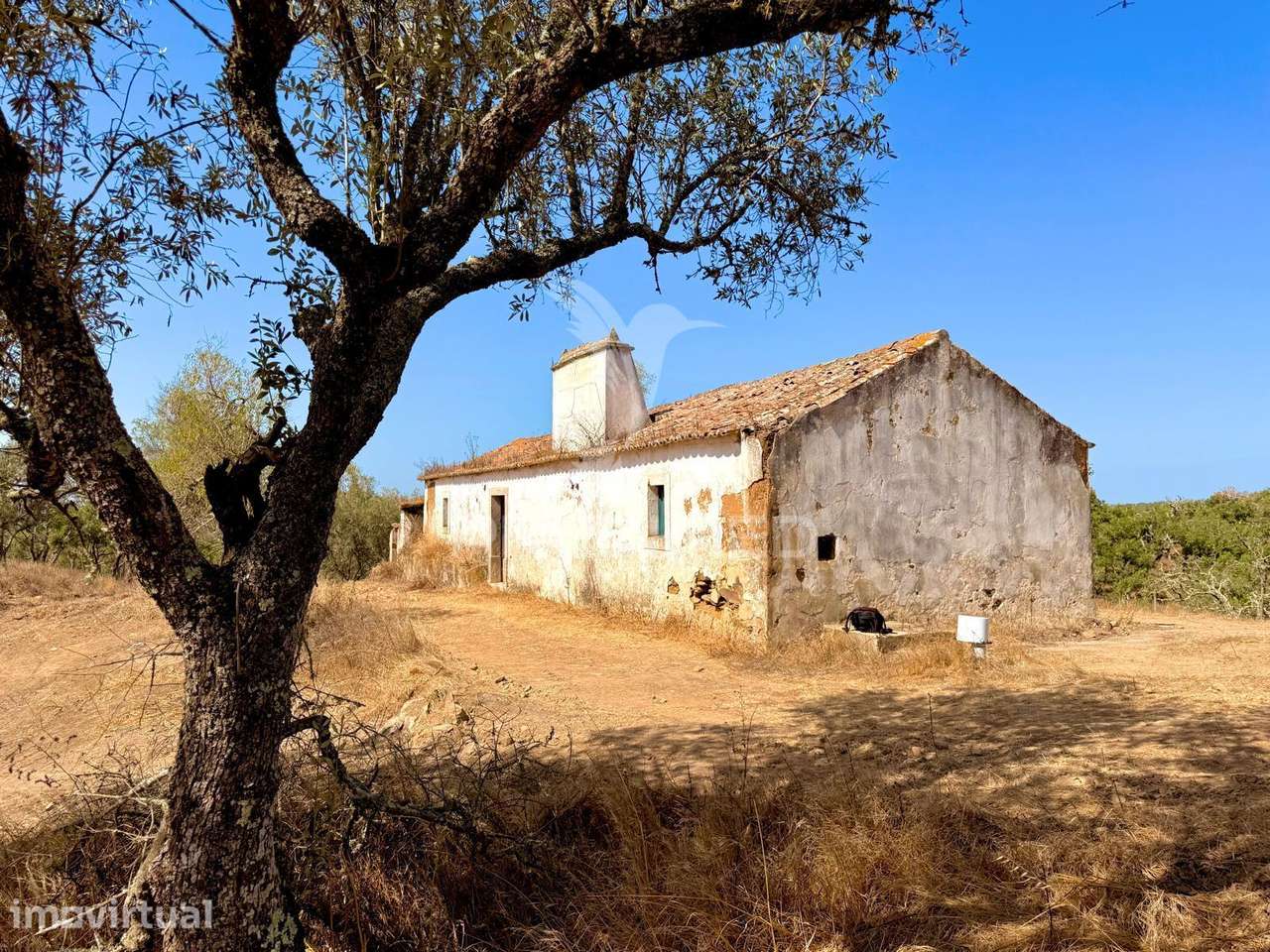 Quinta (prédio misto) com 3 ha - Elevado potencial de investimento - Grande imagem: 4/26