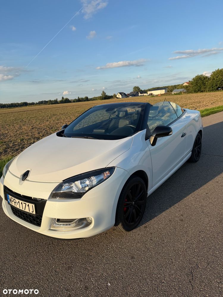 Renault Megane 1.6 dCi Energy Privilege - 18