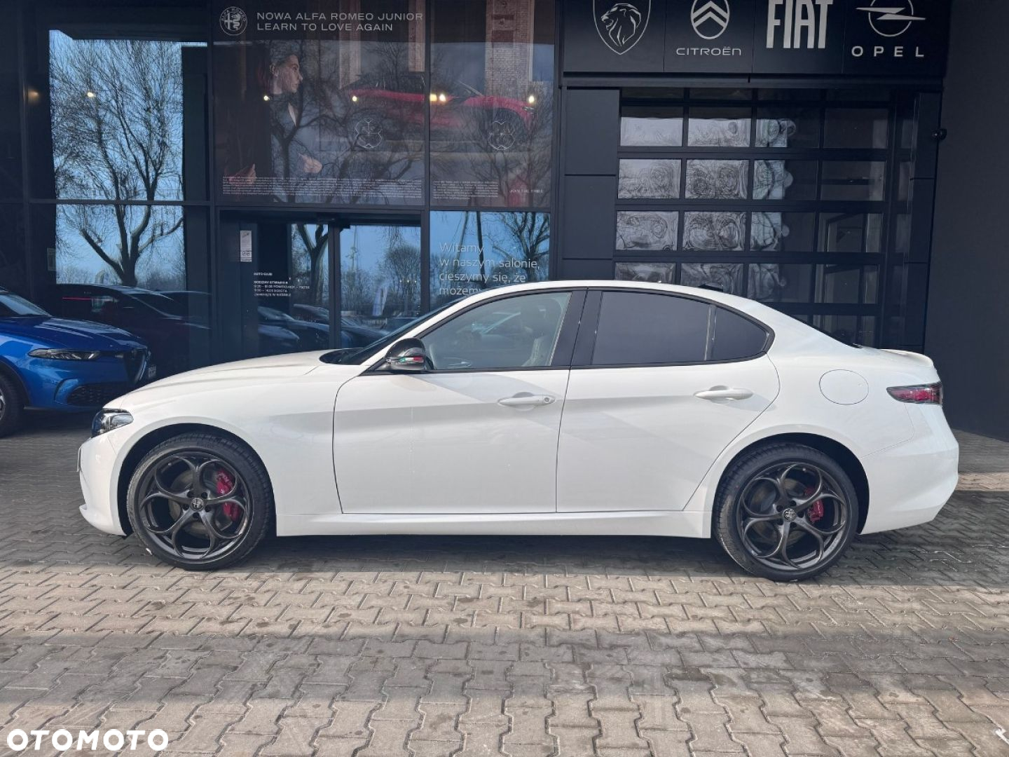 Alfa Romeo Giulia - 11