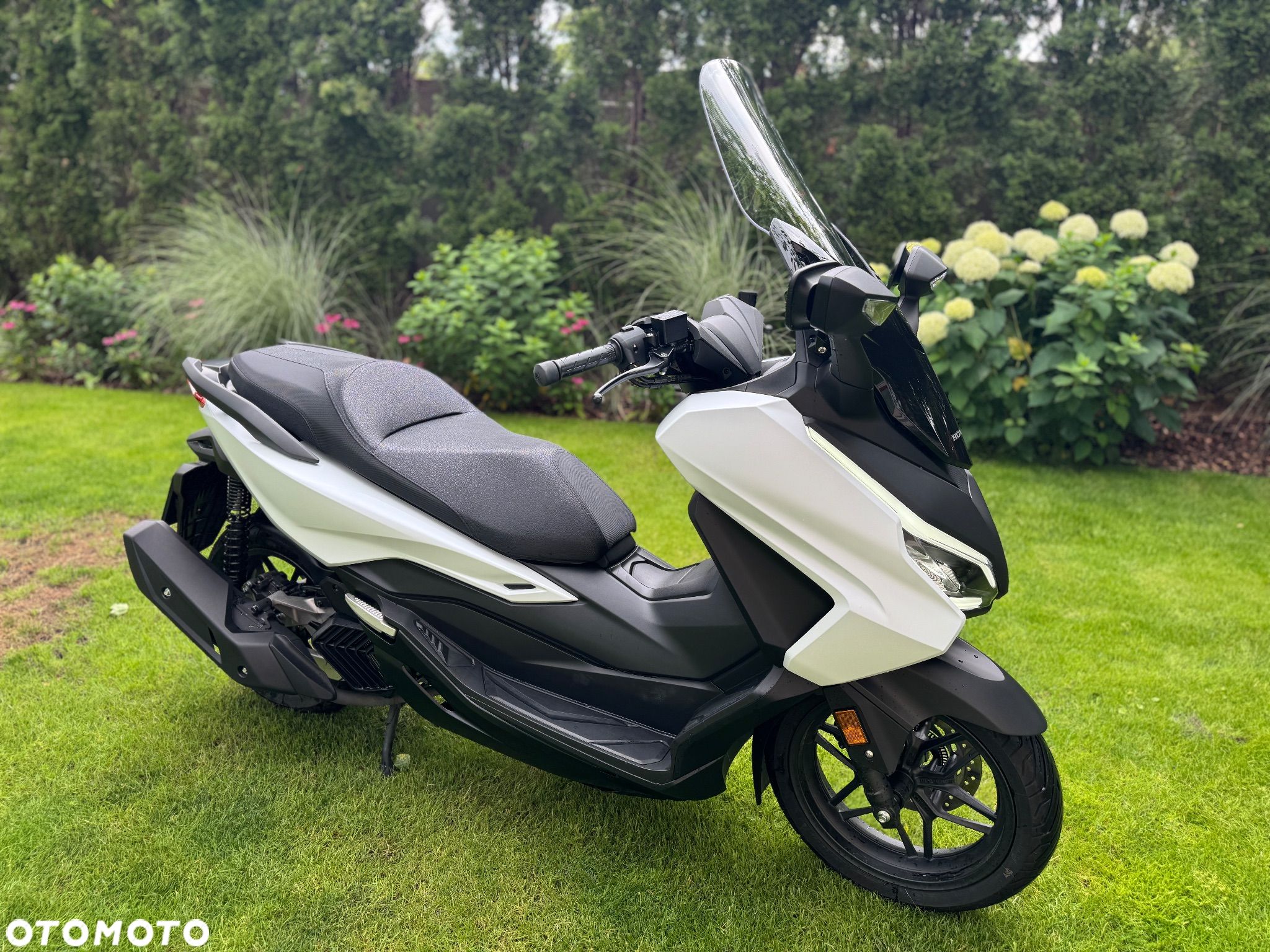 Honda NSS - 1
