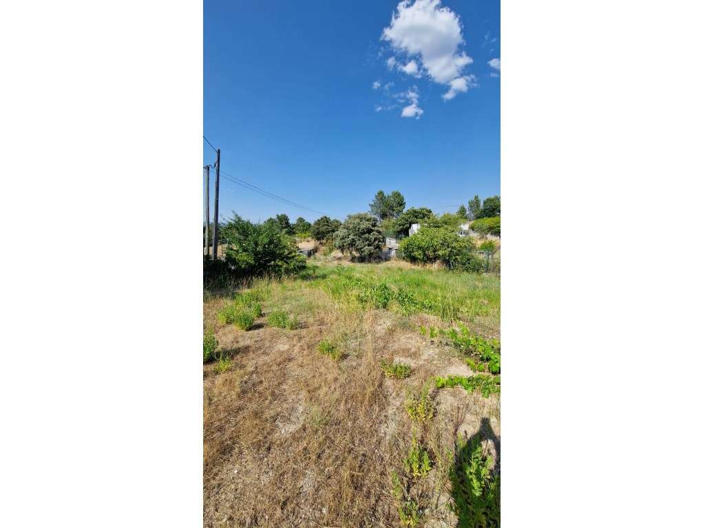 Terreno Rústico de 1998 m2, com poço de água e paineis solares. - Grande imagem: 4/7