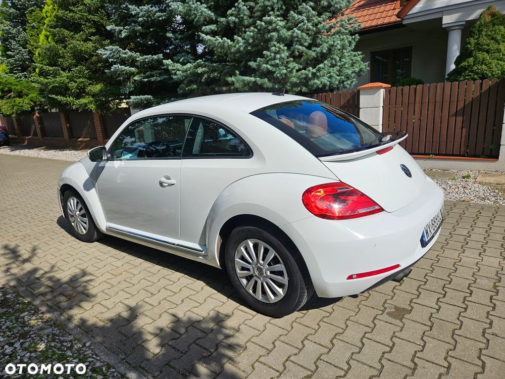 Volkswagen Beetle - 17