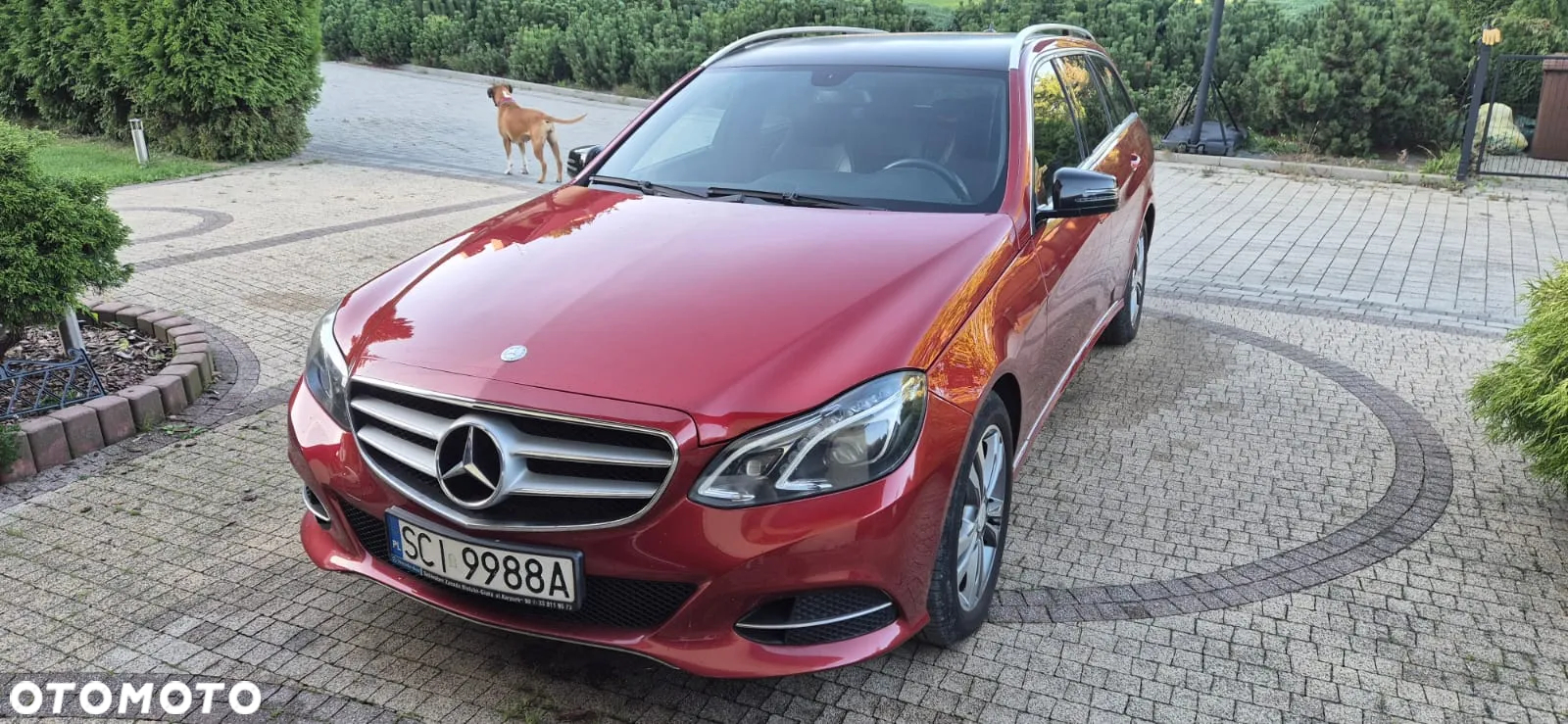 Mercedes-Benz Klasa E 250 CDI 4-Matic Classic - 3
