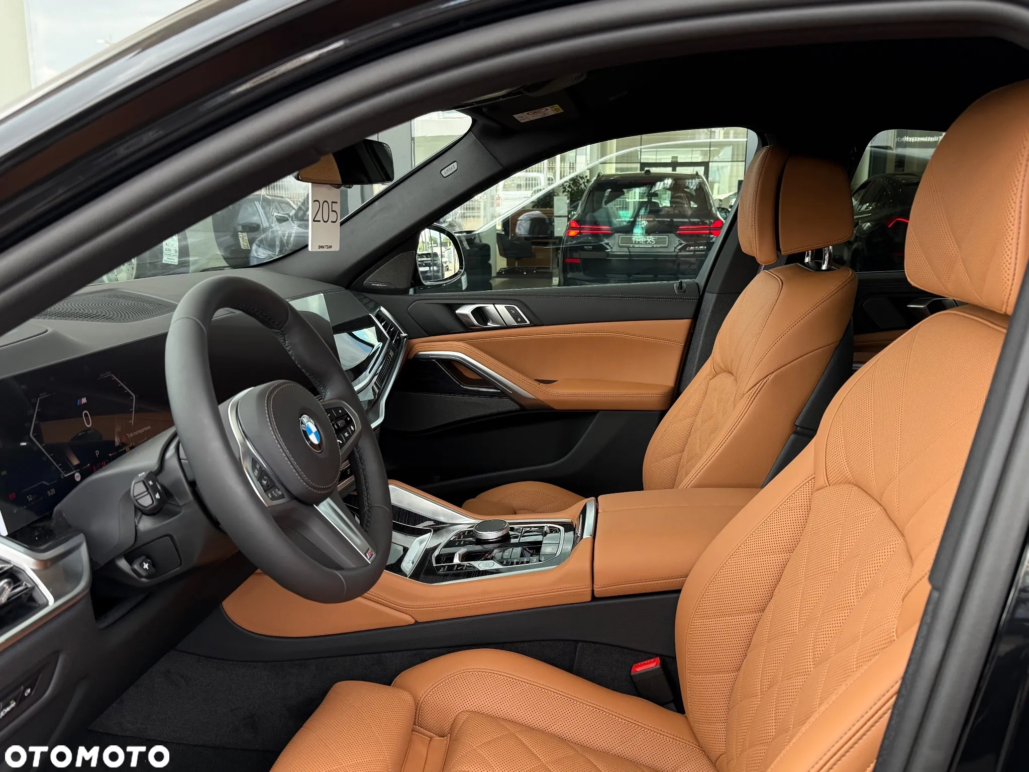 BMW X6 xDrive40i - 17