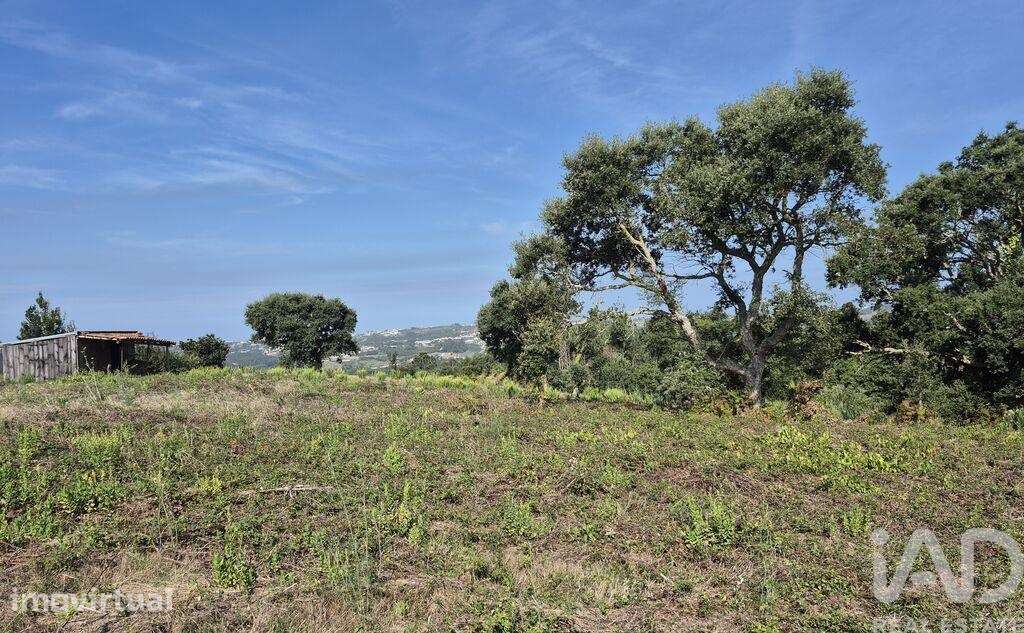 Terreno para construção em Vimeiro - Grande imagem: 3/19
