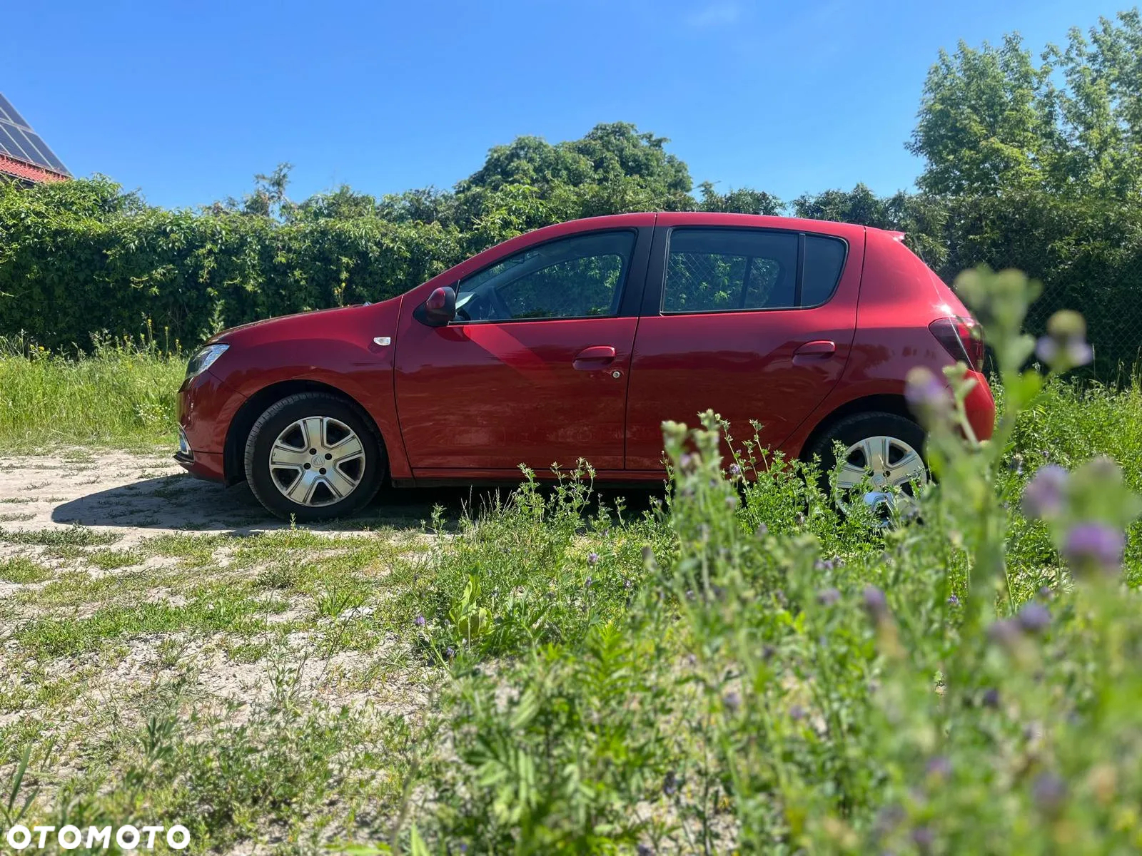 Dacia Sandero 0.9 TCe SL Celebration - 5