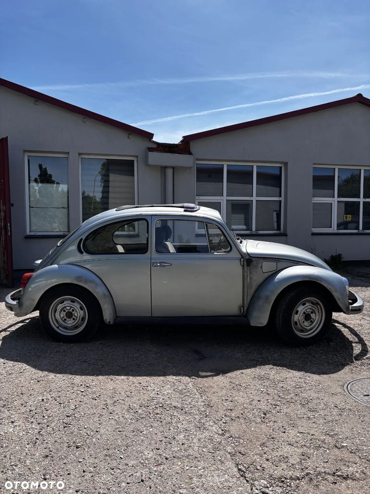 Volkswagen Beetle - 5