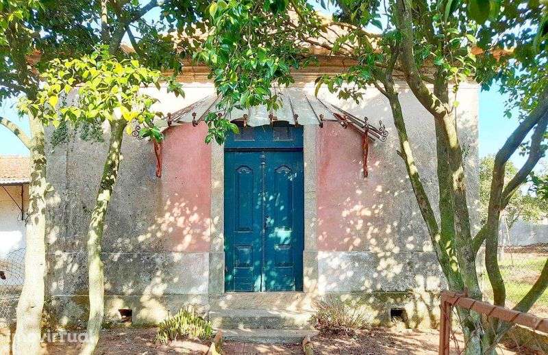Casa com Terreno - Loureiro/Oliveira Azeméis (Possível Permuta) - Grande imagem: 3/12