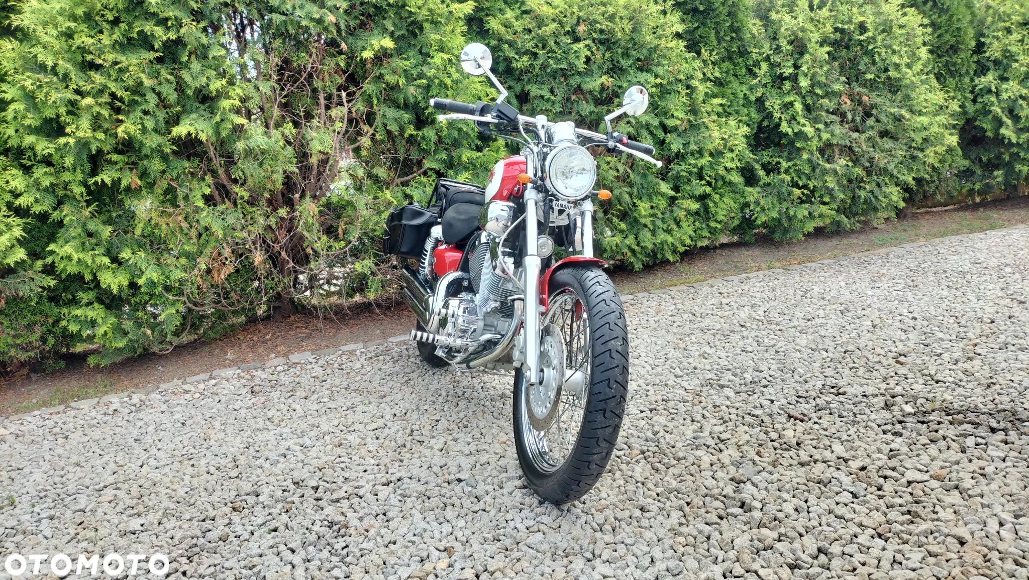 Yamaha Virago - 3