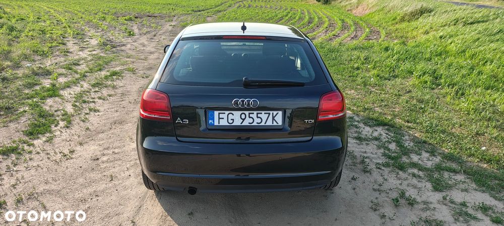 Audi A3 3-drzwiowe - 2