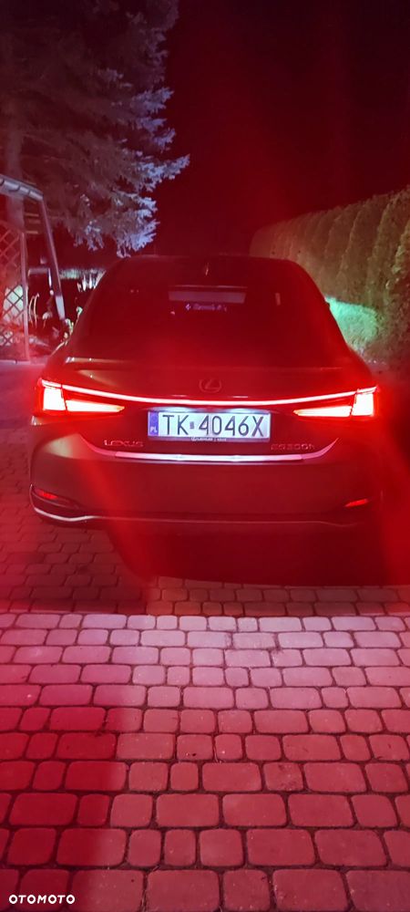 Lexus ES 300h Omotenashi - 26