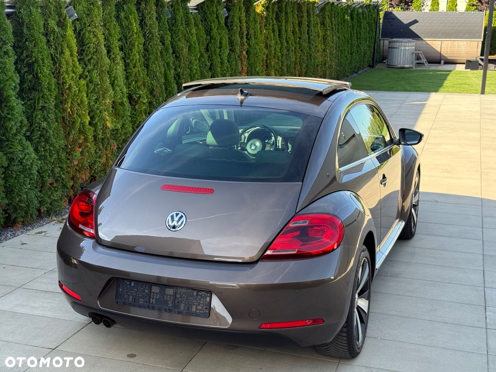 Volkswagen Beetle - 12