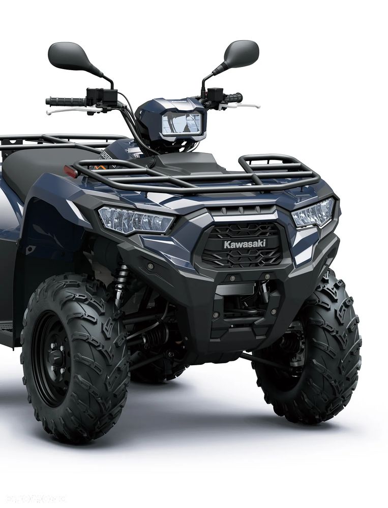 Kawasaki Brute Force - 6